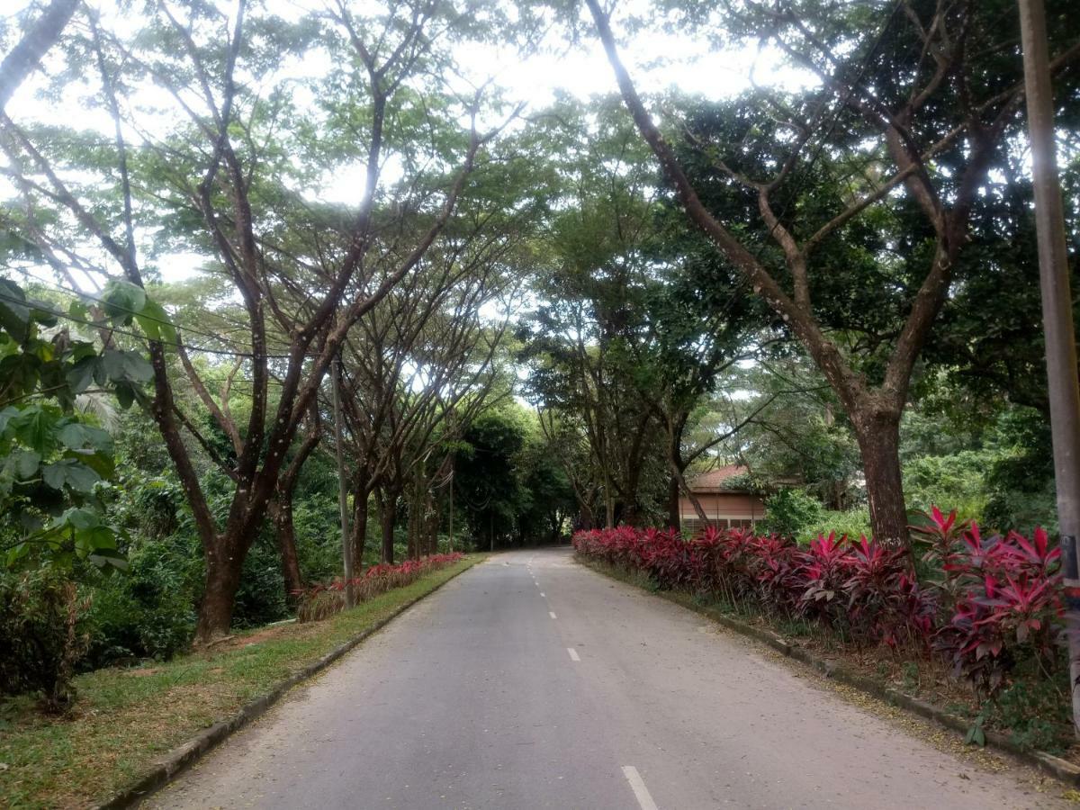 Janaview Taiping Hotel ภายนอก รูปภาพ